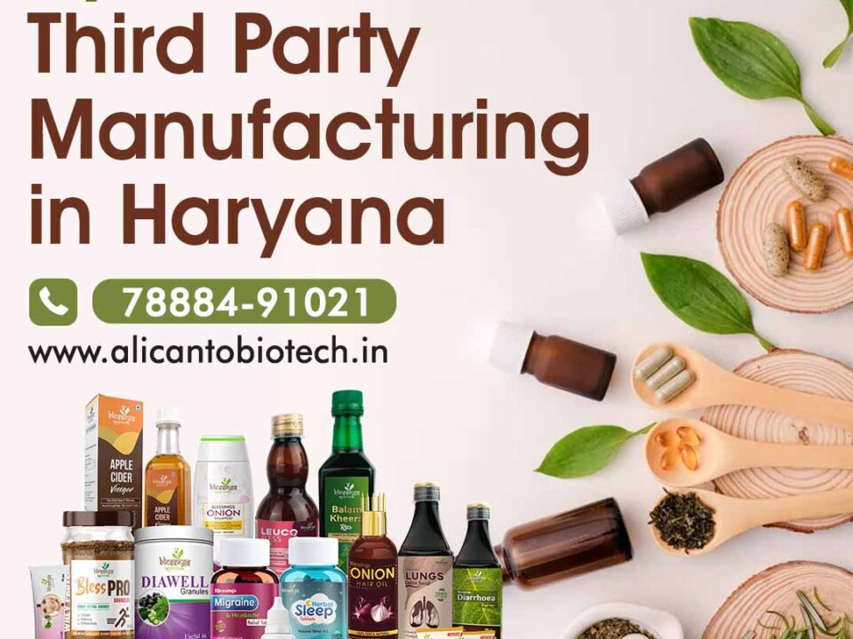 Ayurvedic Third Party Manufacturing In Haryana