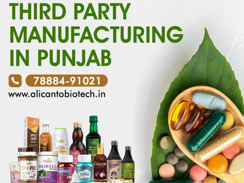 Ayurvedic Third Party Manufacturing in Punjab